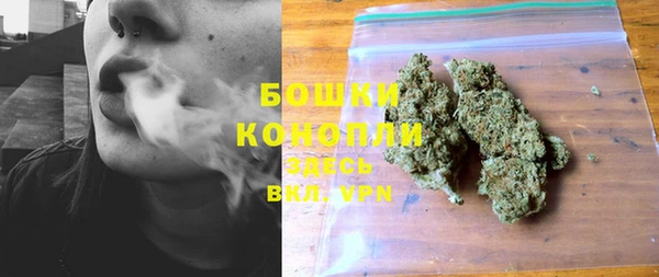 винт Мегион
