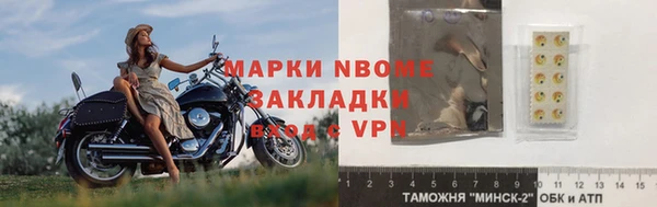 шишки Медвежьегорск