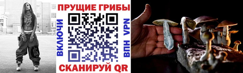Галлюциногенные грибы мицелий  что такое наркотик  Ступино 